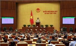 Quốc hội thông qua Luật Lực lượng dự bị động viên với tỷ lệ tán thành cao